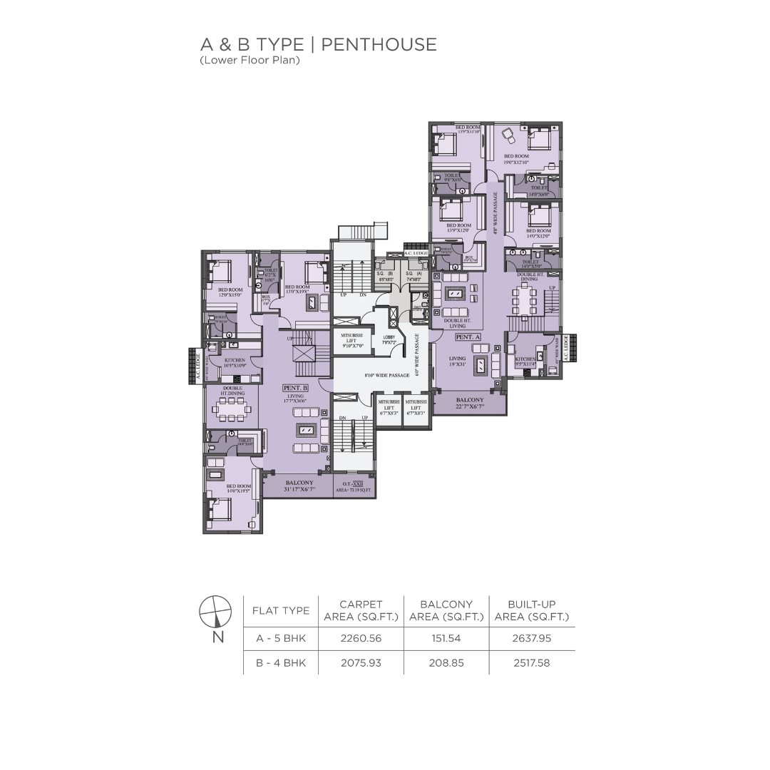 Prasad Group :: Altitude 16 :: A & B Type (Penthouse) - Lower Floor Plan